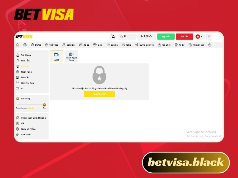 Betvisa lừa đảo