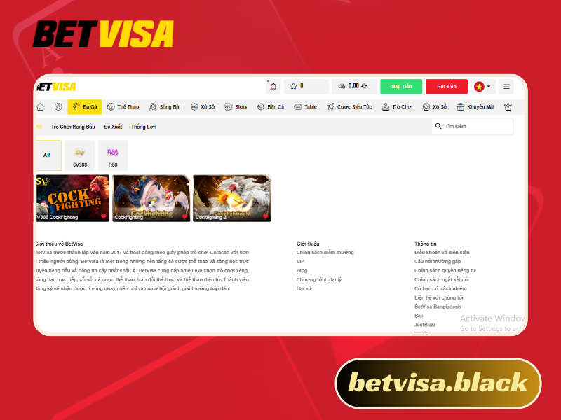 Đá gà Thomo hình thức giải trí cực hấp dẫn