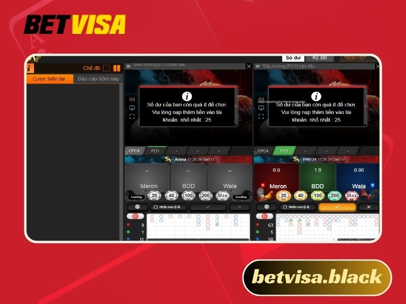 Đá gà trực tiếp