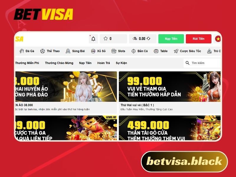 Giới Thiệu Betvisa