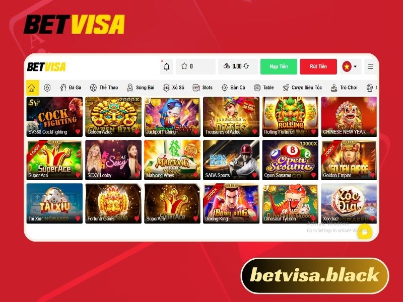 Giới Thiệu Betvisa
