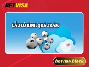 Soi cầu quả trám