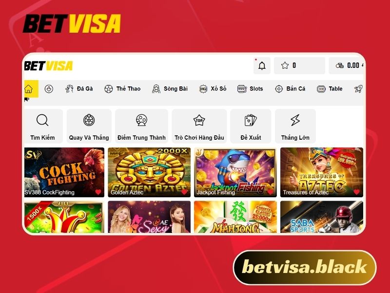Tuyển dụng Betvisa
